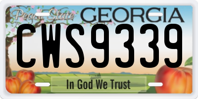 GA license plate CWS9339