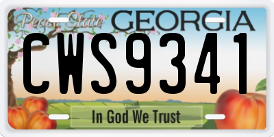 GA license plate CWS9341