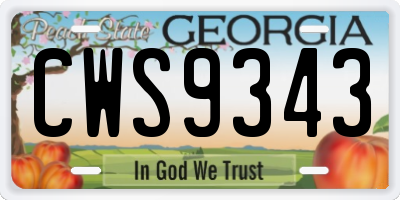 GA license plate CWS9343