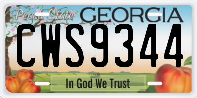 GA license plate CWS9344