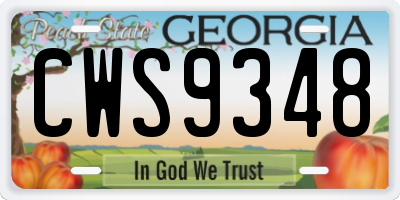 GA license plate CWS9348