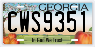 GA license plate CWS9351