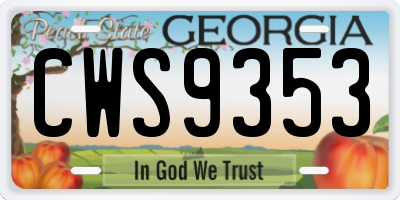GA license plate CWS9353