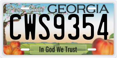 GA license plate CWS9354