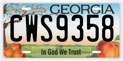 GA license plate CWS9358