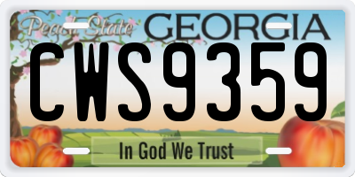 GA license plate CWS9359