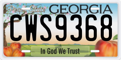 GA license plate CWS9368