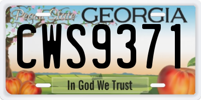 GA license plate CWS9371