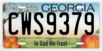 GA license plate CWS9379