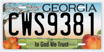GA license plate CWS9381