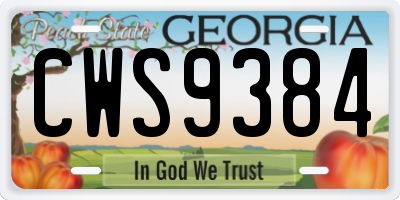 GA license plate CWS9384