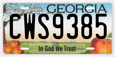 GA license plate CWS9385