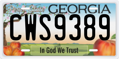 GA license plate CWS9389