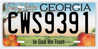 GA license plate CWS9391