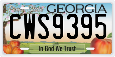 GA license plate CWS9395