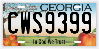 GA license plate CWS9399