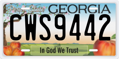 GA license plate CWS9442