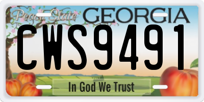 GA license plate CWS9491