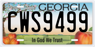 GA license plate CWS9499