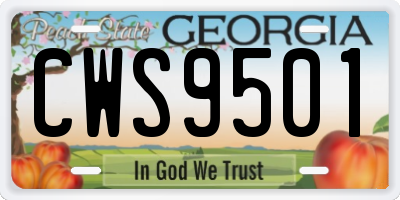 GA license plate CWS9501