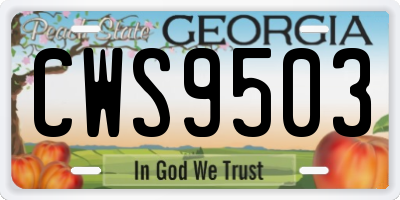 GA license plate CWS9503