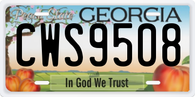 GA license plate CWS9508
