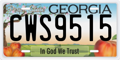 GA license plate CWS9515