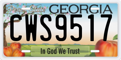 GA license plate CWS9517