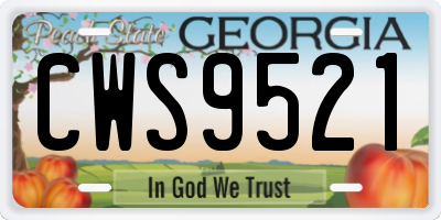 GA license plate CWS9521