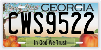 GA license plate CWS9522