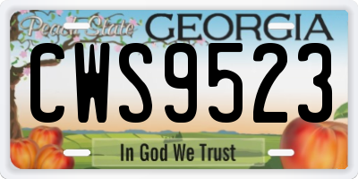 GA license plate CWS9523