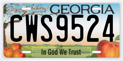 GA license plate CWS9524