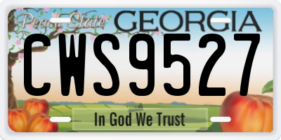 GA license plate CWS9527