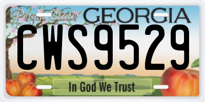 GA license plate CWS9529