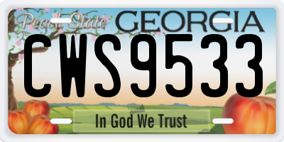GA license plate CWS9533