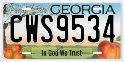 GA license plate CWS9534