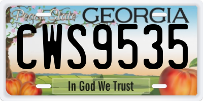 GA license plate CWS9535