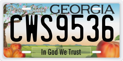 GA license plate CWS9536