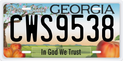 GA license plate CWS9538