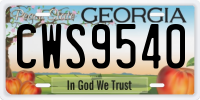 GA license plate CWS9540