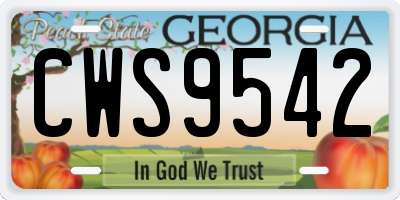 GA license plate CWS9542