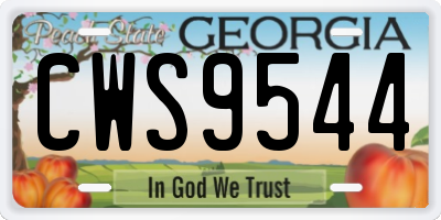 GA license plate CWS9544