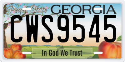 GA license plate CWS9545