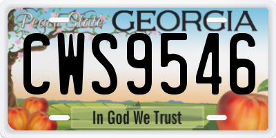 GA license plate CWS9546