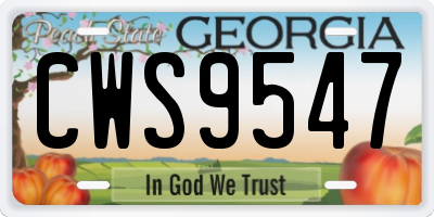 GA license plate CWS9547