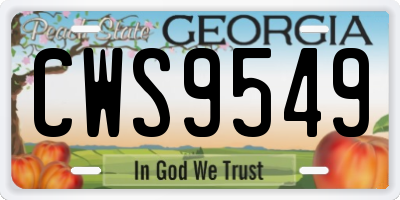 GA license plate CWS9549