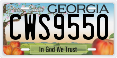 GA license plate CWS9550