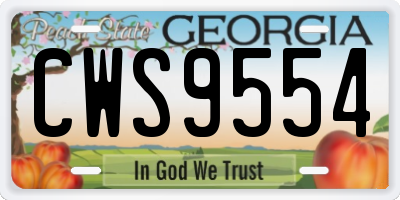 GA license plate CWS9554