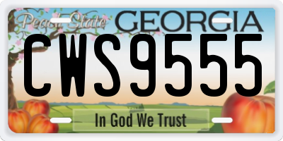 GA license plate CWS9555