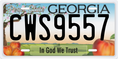 GA license plate CWS9557